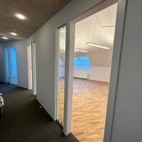 BVH Löwelstrasse 12. 1010 Wien, Neue Büros. Dachgeschossausbau.